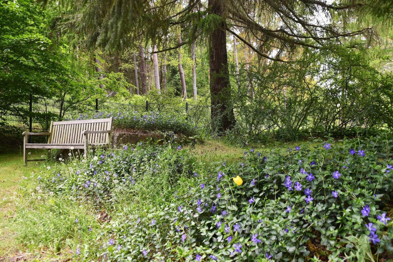 Appartementanlage-Ferienwohnungen Weisse Moewe Sassnitz Exteriör bild